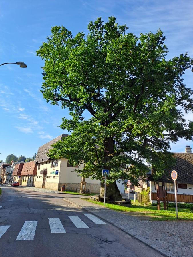 Apartmán U Dubu Jablonné nad Orlicí Exterior foto